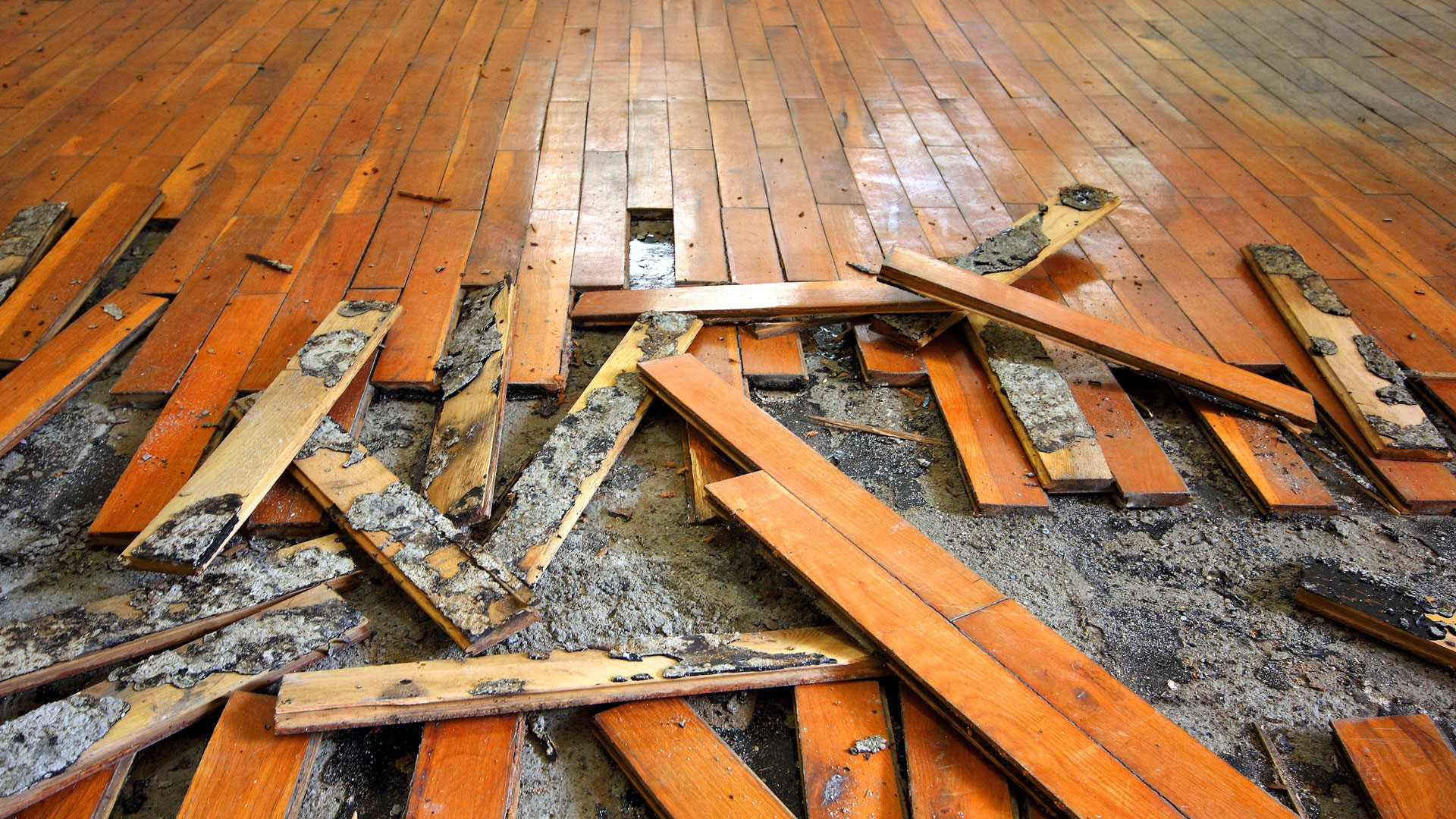 Hardwood Floor Repair