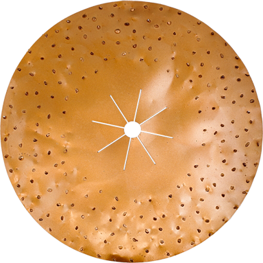 16" Tungsten Carbide Double Sided Sanding Disc 14 Grit
