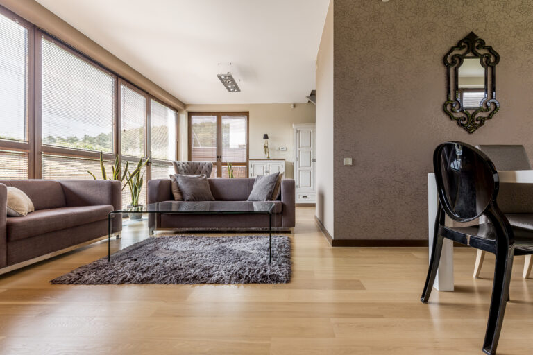 Cozy brown living room with sofas and glass coffee table