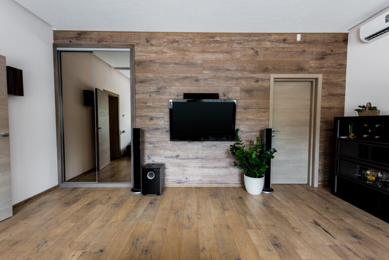 interior view of empty modern living room with TV set